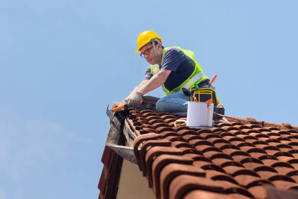 Best Asphalt Shingle Roofing  in Fort Wright, KY